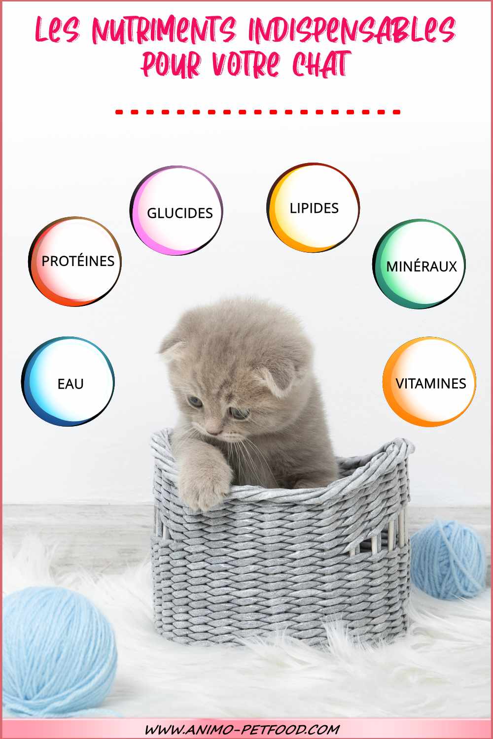 nutriments indispensables pour le chat